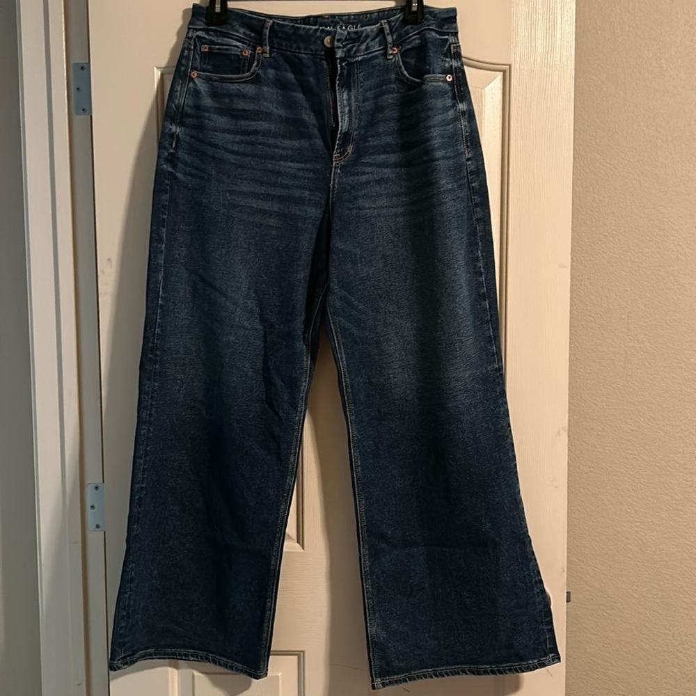 American Eagle Curvy High- Rise Baggy Wide Leg Jeans